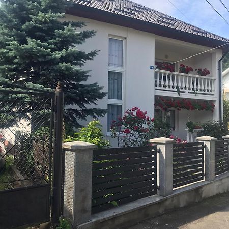 Pensiunea Grapini Sant Luaran gambar