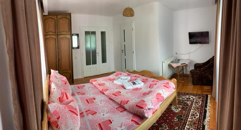 Pensiunea Grapini Sant Luaran gambar